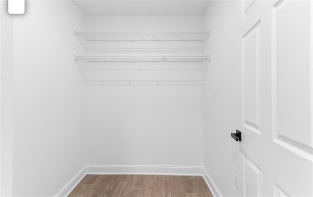 spacious closet with wood-type flooring