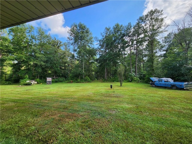 84653 Camus Ln, Covington, LA 70435 - view of grassy yard
