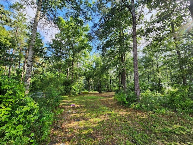 84653 Camus Ln, Covington, LA 70435 - view of yard