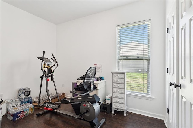 exercise area with hardwood / wood-style floors