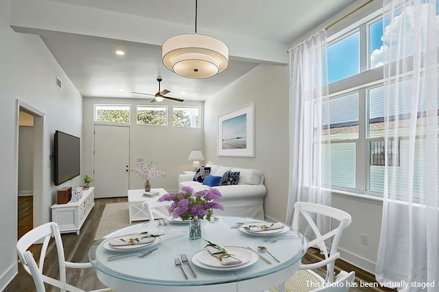 dining area featuring dark wood-type flooring and ceiling fan