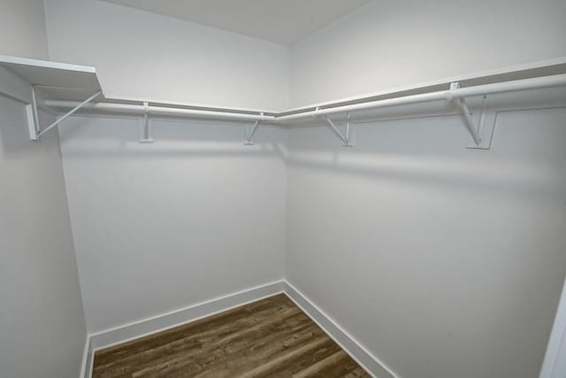 walk in closet featuring hardwood / wood-style flooring