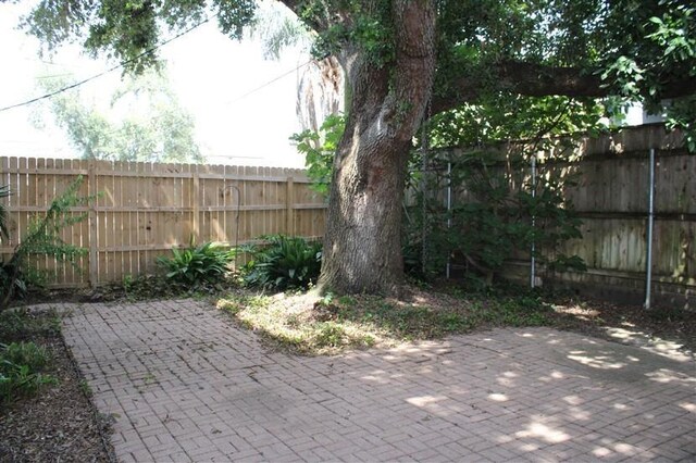 view of yard featuring a patio area