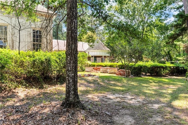 11120 Plank Rd, Clinton, LA 70722 - photo 4