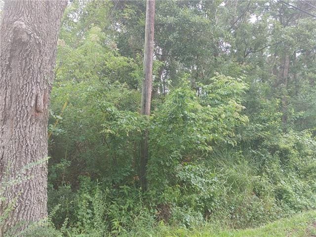 TBD Renell Dr, Slidell LA, 70460 land for sale