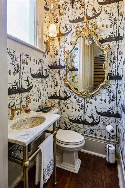 bathroom with vanity, wood-type flooring, and toilet