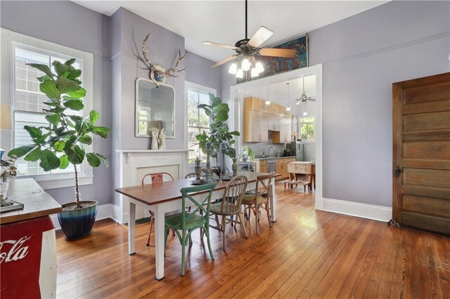 dining room featuring sink, ceiling fan, and hardwood / wood-style flooring