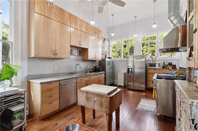 kitchen with appliances with stainless steel finishes, dark hardwood / wood-style floors, tasteful backsplash, sink, and ceiling fan