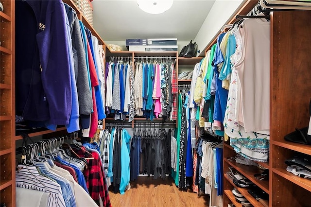 spacious closet featuring light wood-type flooring