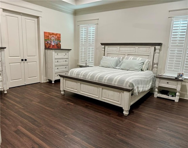 bedroom featuring dark wood-type flooring