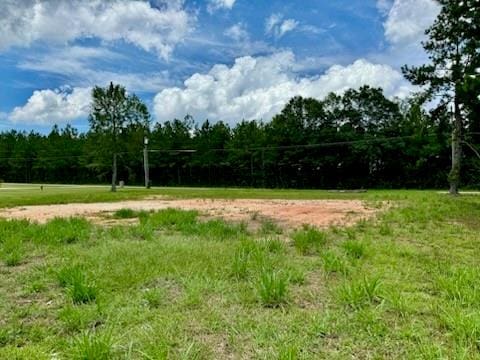 00 Peach Orchard Rd, Bogalusa LA, 70427 land for sale