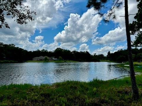 00 Peach Orchard Rd, Bogalusa, LA 70427 - photo 2