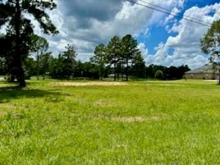 Listing photo 3 for 00 Peach Orchard Rd, Bogalusa LA 70427