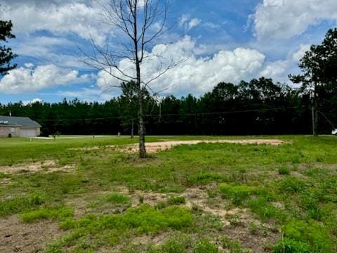 00 Peach Orchard Rd, Bogalusa, LA 70427 - photo 4