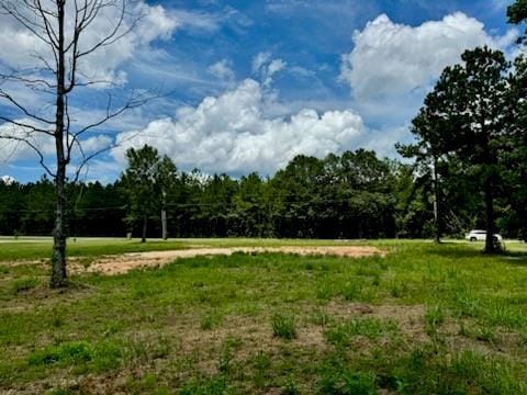 00 Peach Orchard Rd, Bogalusa, LA 70427 - photo 5