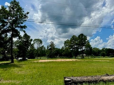 00 Peach Orchard Rd, Bogalusa, LA 70427 - photo 6