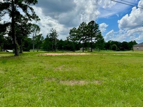 00 Peach Orchard Rd, Bogalusa, LA 70427 - photo 7
