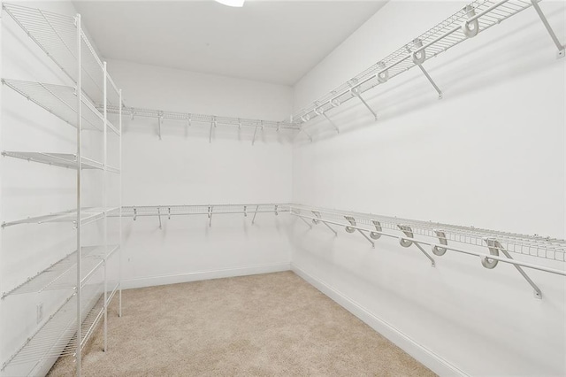 walk in closet featuring carpet floors