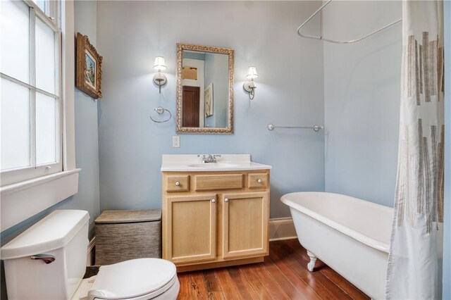 bathroom with toilet, vanity, and wood-type flooring