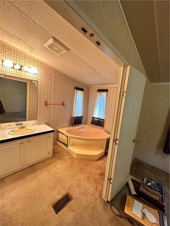 bathroom featuring vanity, vaulted ceiling, a textured ceiling, and a washtub