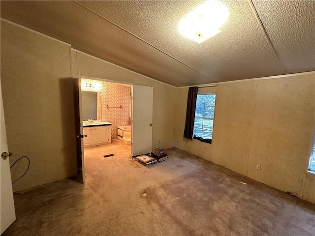 additional living space featuring a textured ceiling, carpet flooring, and vaulted ceiling