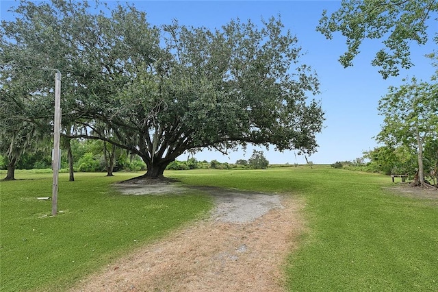 1217 Delacroix Hwy, Saint Bernard, LA 70085 - photo 3