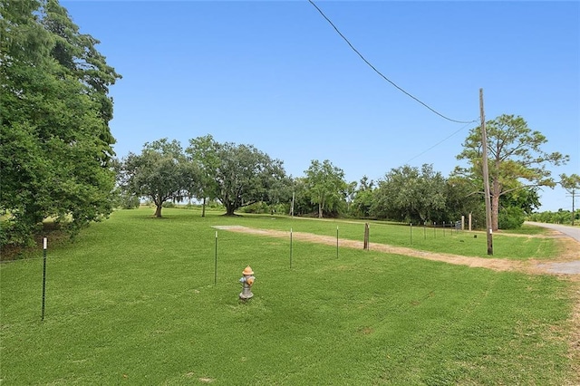 1217 Delacroix Hwy, Saint Bernard, LA 70085 - photo 5