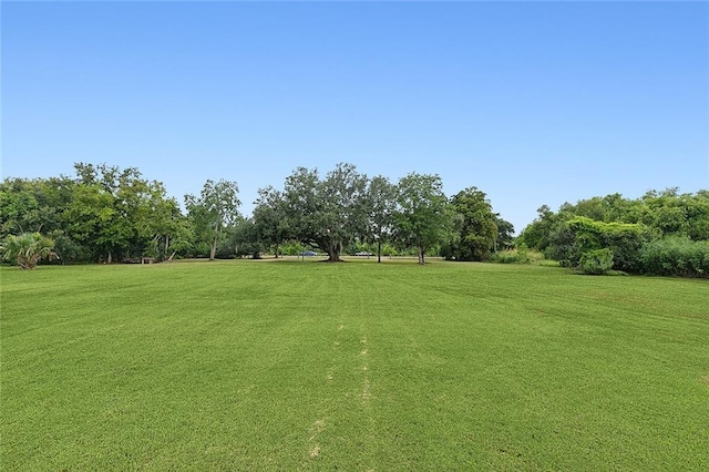 1217 Delacroix Hwy, Saint Bernard, LA 70085 - photo 6