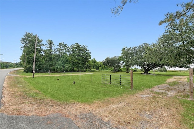 1217 Delacroix Hwy, Saint Bernard, LA 70085 - photo 7