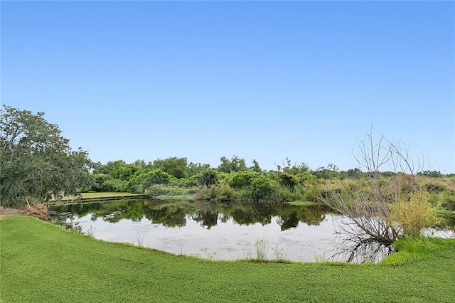 1217 Delacroix Hwy, Saint Bernard, LA 70085 - photo 10