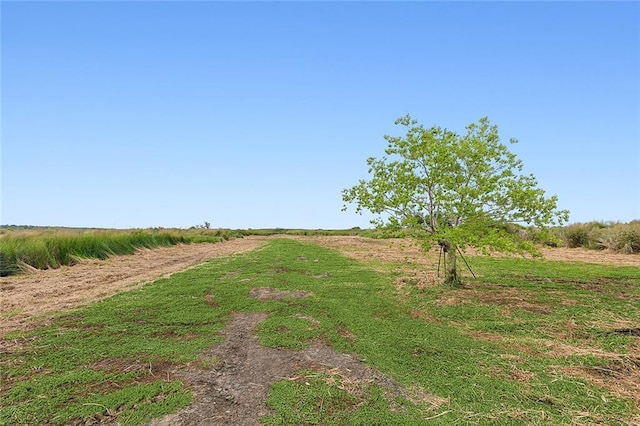 1217 Delacroix Hwy, Saint Bernard, LA 70085 - photo 29