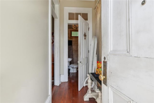 hall featuring dark wood-type flooring