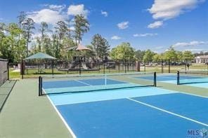31024 Wild Iris Way, Springfield, LA 70462 - photo 4