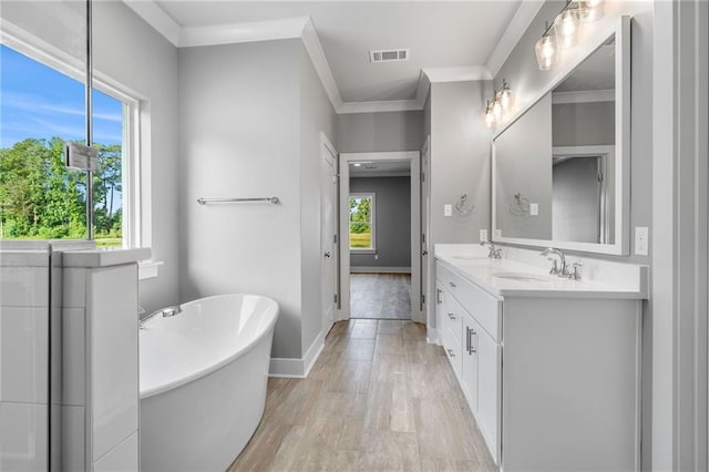 bathroom featuring ornamental molding, vanity, a healthy amount of sunlight, and a bathtub