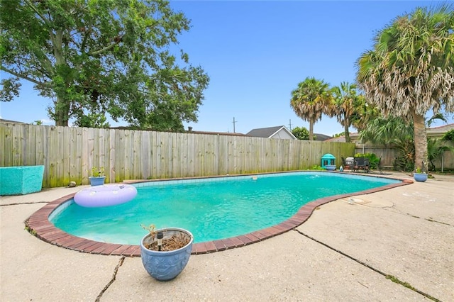 view of pool featuring a patio area