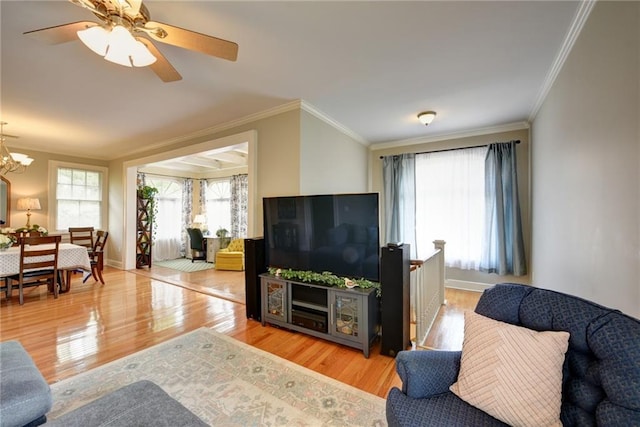 living room featuring ceiling fan with notable chandelier, crown molding, and light hardwood / wood-style flooring