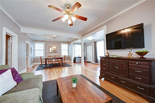 living room with ceiling fan, crown molding, and light hardwood / wood-style floors