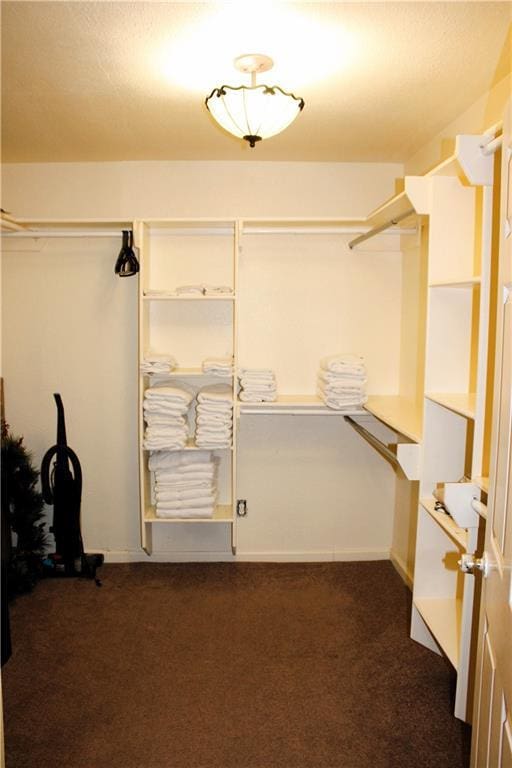 1831 N Miro St, New Orleans, LA 70119 - spacious closet featuring dark colored carpet