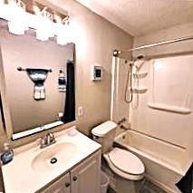 full bathroom with vanity, toilet, and bathing tub / shower combination