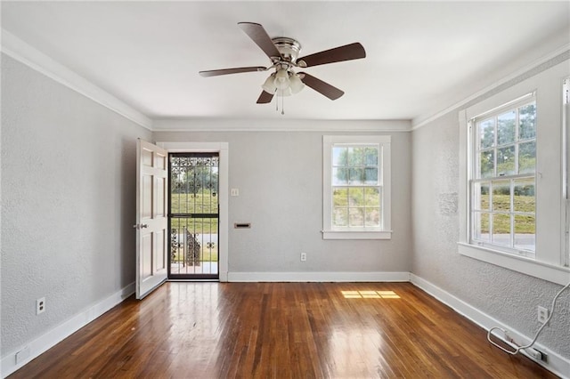 empty room with ornamental molding and dark hardwood / wood-style flooring