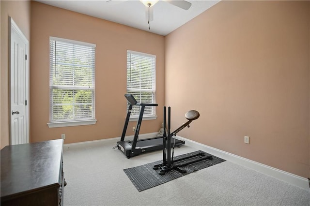 workout area with carpet floors and ceiling fan