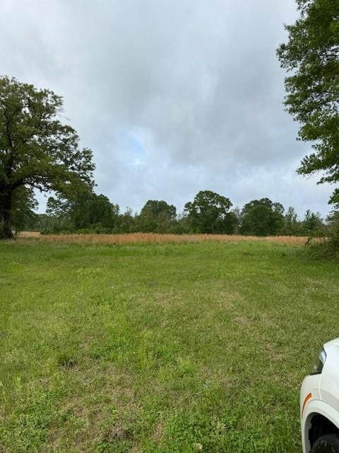 40 Highway, Loranger, LA 70446 - photo 1
