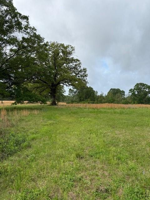 40 Highway, Loranger, LA 70446 - photo 2