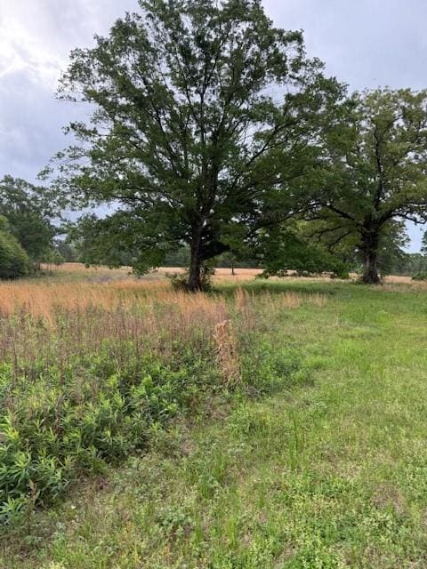 40 Highway, Loranger, LA 70446 - photo 3