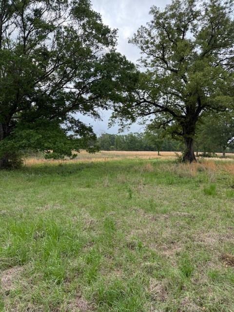 40 Highway, Loranger, LA 70446 - photo 4