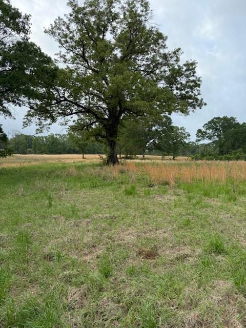 40 Highway, Loranger, LA 70446 - photo 5
