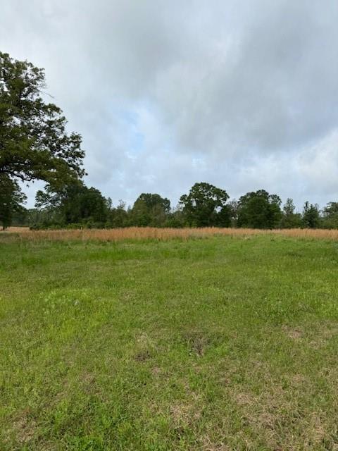 40 Highway, Loranger, LA 70446 - photo 6