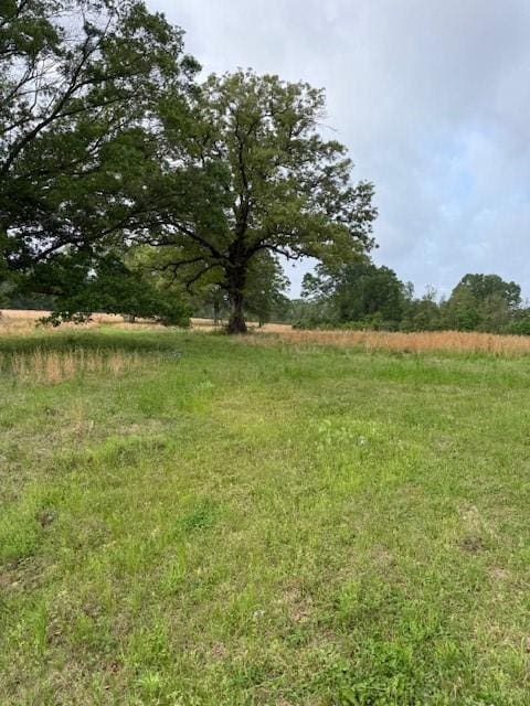 40 Highway, Loranger, LA 70446 - photo 7