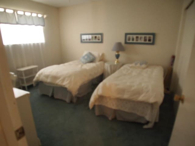 bedroom featuring carpet floors