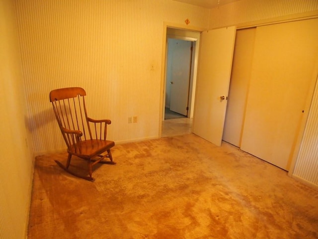 unfurnished room with carpet flooring